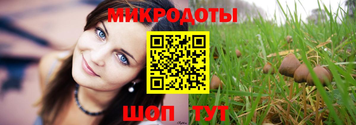 Прохладный  Псилоцибиновые грибы ЛСД  Вход с VPN 